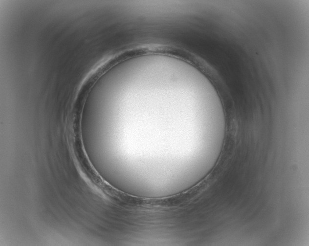 X0000082940730200702011111