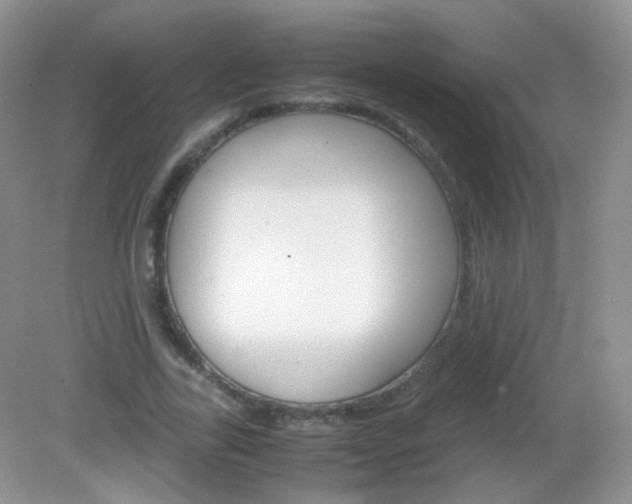 X0000082940731200702011111