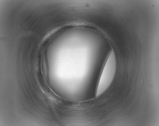 X0000082940732200702011111