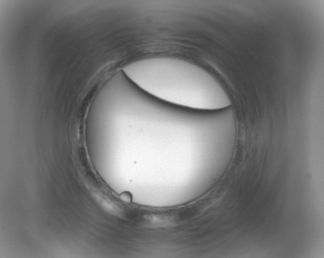 X0000082940733200702011111