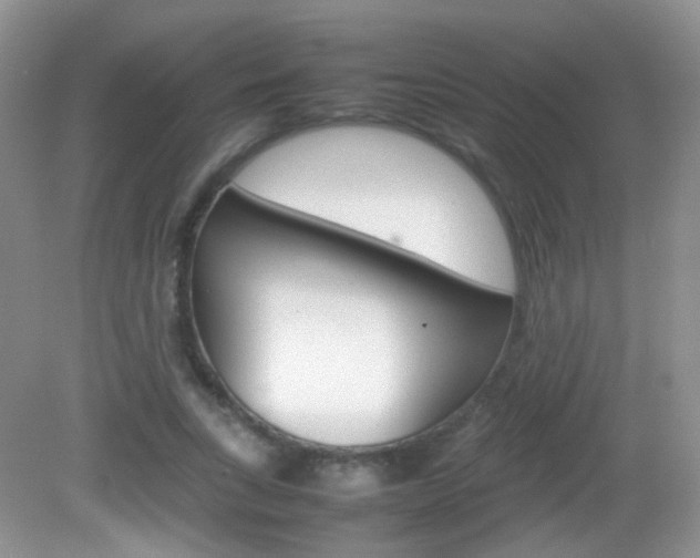 X0000082940735200702011111
