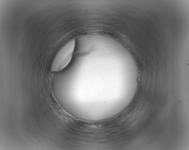 X0000082940737200702011111