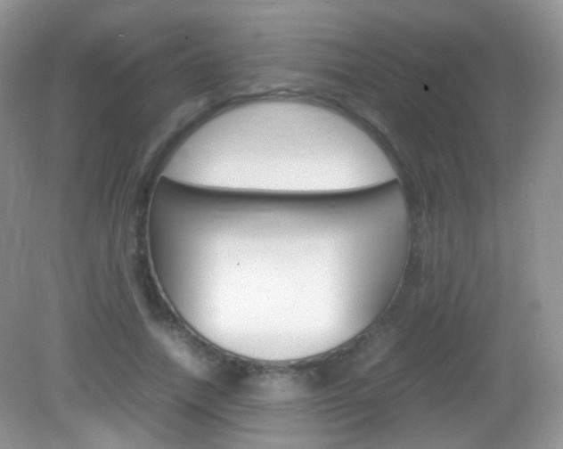 X0000082940738200702011111