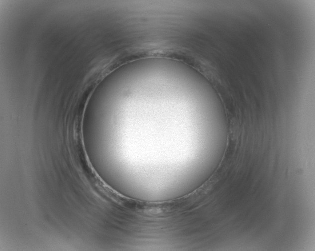 X0000082940740200702011111