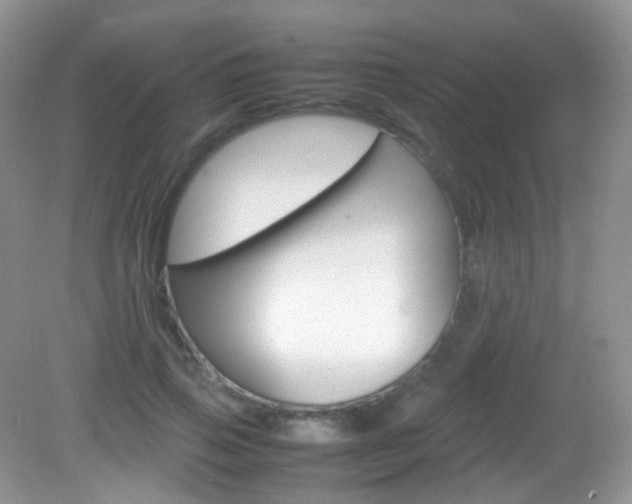 X0000082940741200702011111
