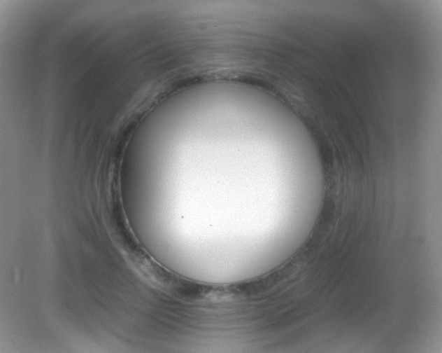 X0000082940742200702011111