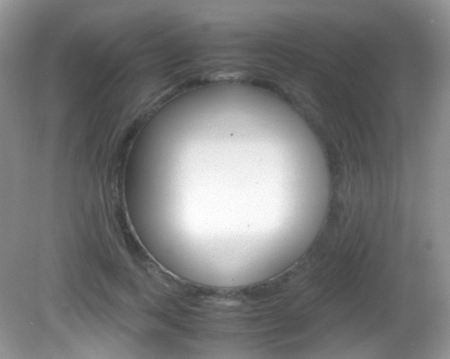 X0000082940743200702011111