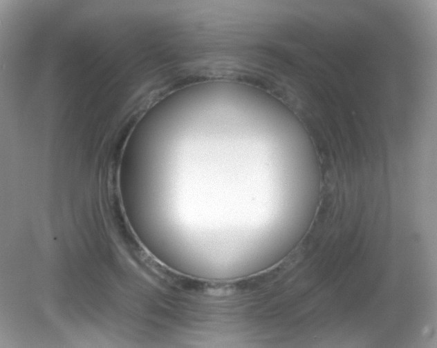 X0000082940744200702011111