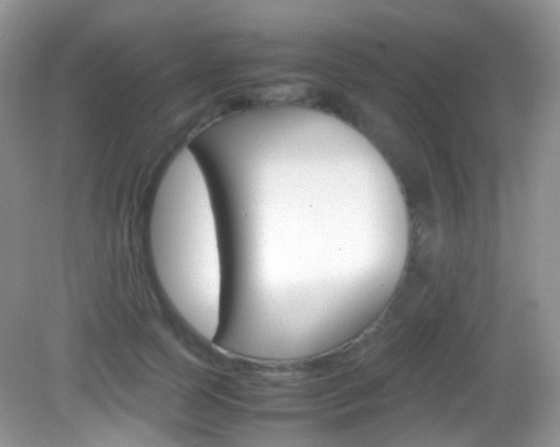 X0000082940745200702011111