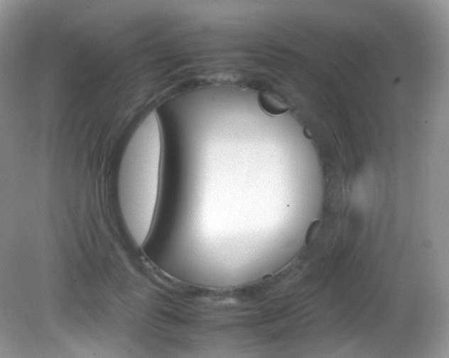 X0000082940747200702011111