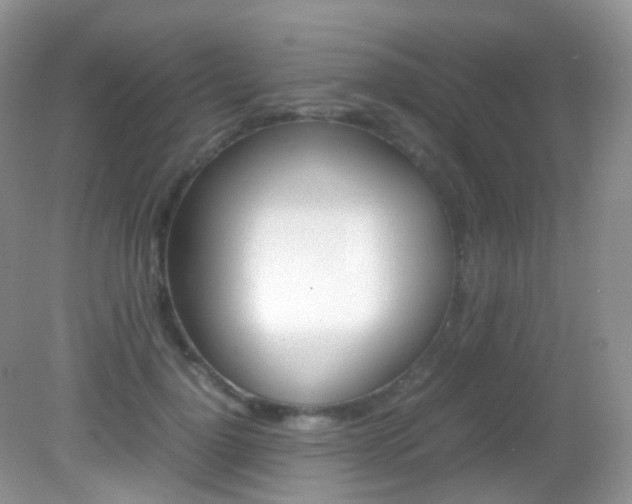 X0000082940748200702011111