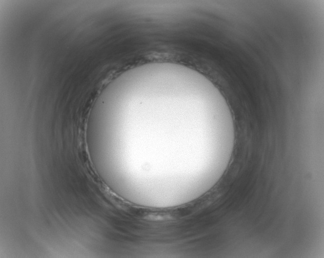 X0000082940749200702011111