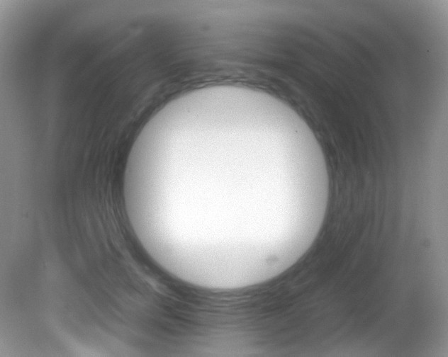 X0000082940750200702011111