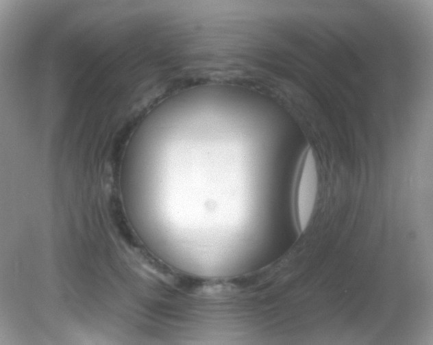 X0000082940752200702011111