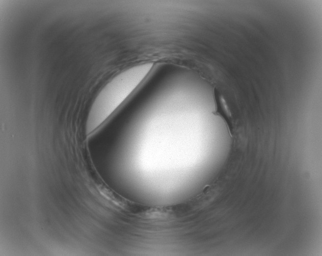 X0000082940756200702011112