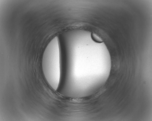 X0000082940758200702011112