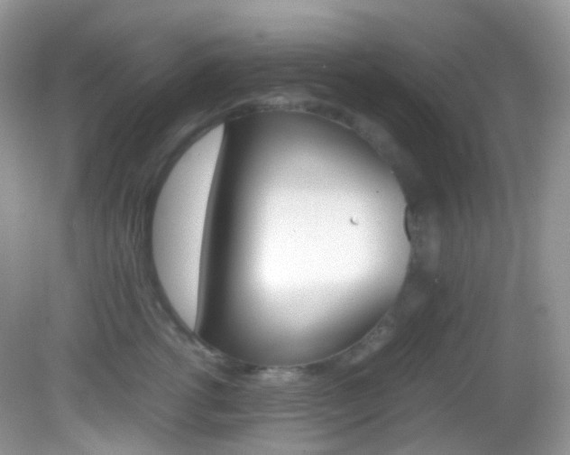 X0000082940762200702011112