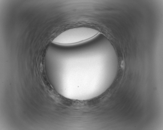 X0000082940771200702011111