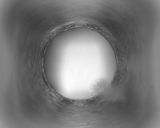 X0000082940773200702011111
