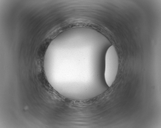 X0000082940774200702011111