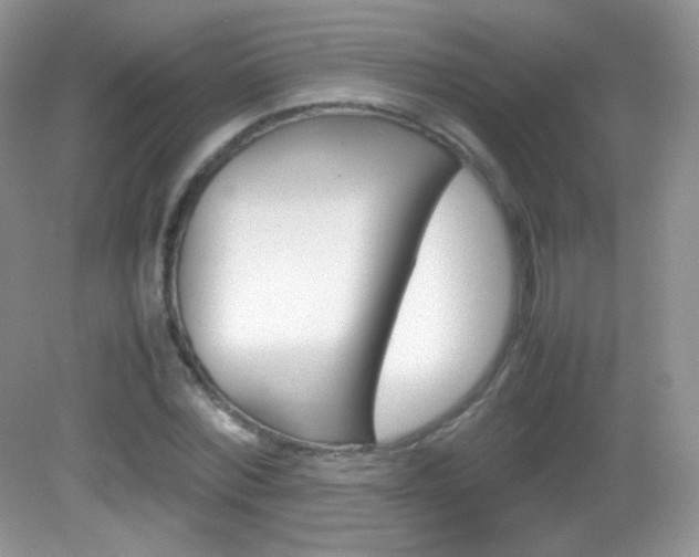 X0000082940780200702011111