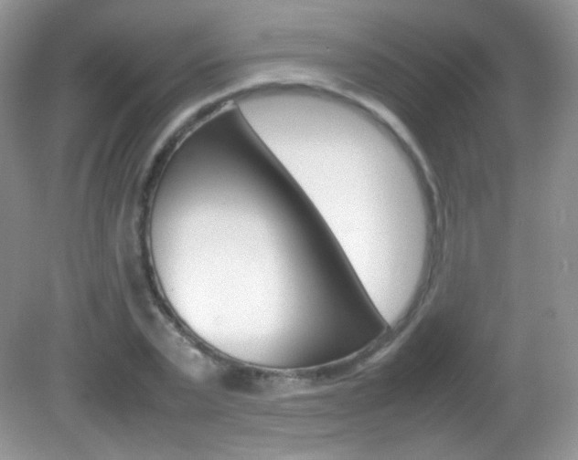 X0000082940783200702011111