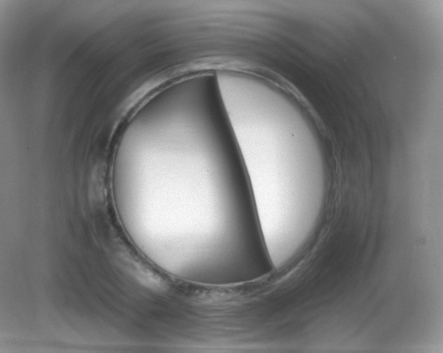 X0000082940786200702011111