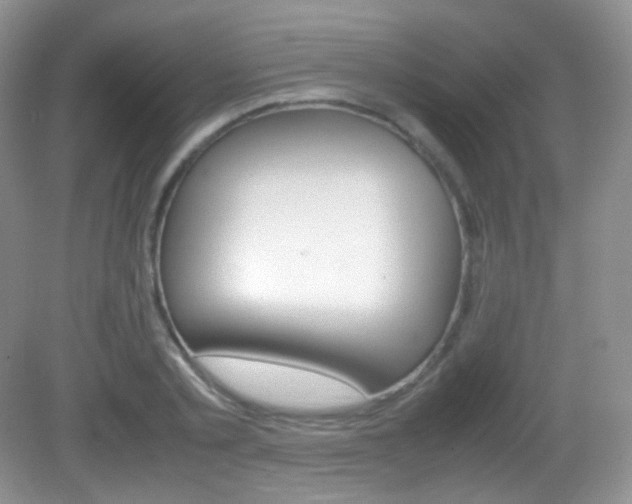 X0000082940789200702011111