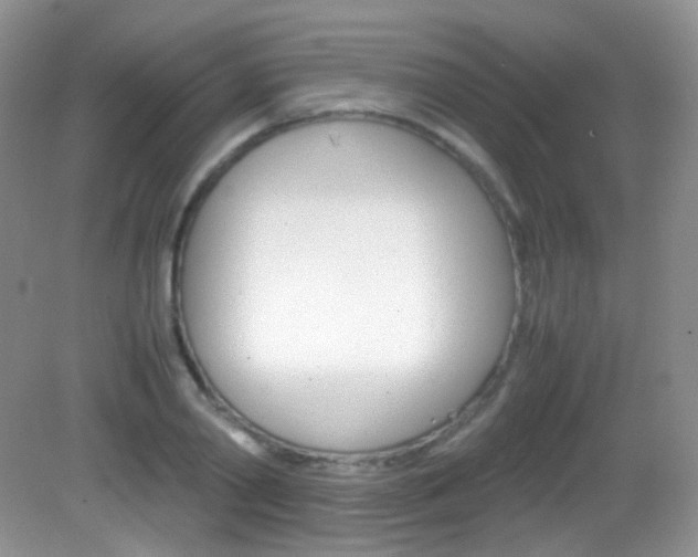 X0000082940790200702011111