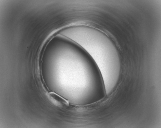 X0000082940792200702011111