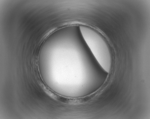 X0000082940793200702011111