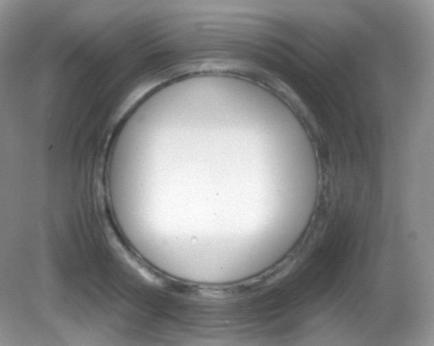 X0000082940794200702011111