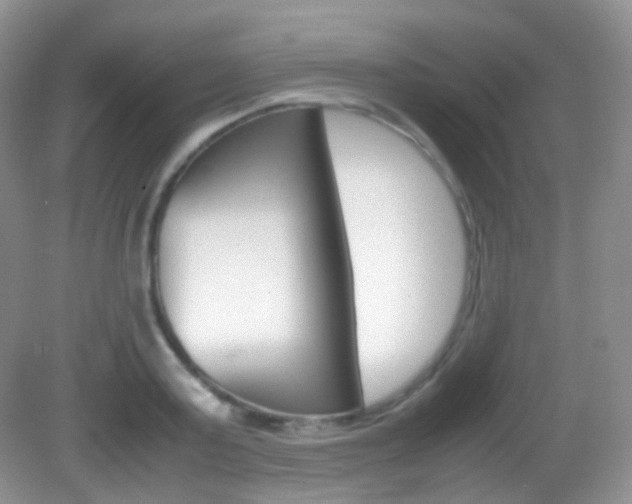 X0000082940795200702011111