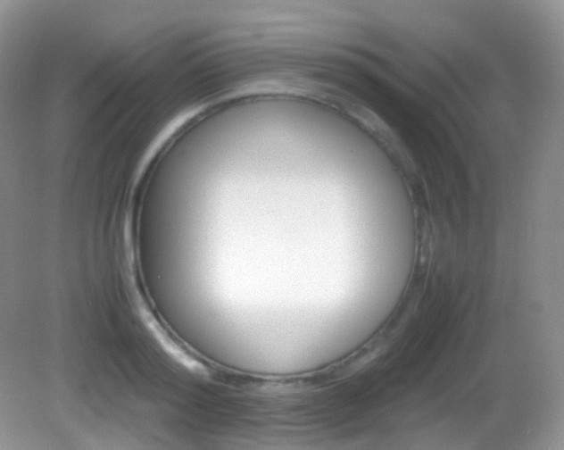 X0000082940796200702011110