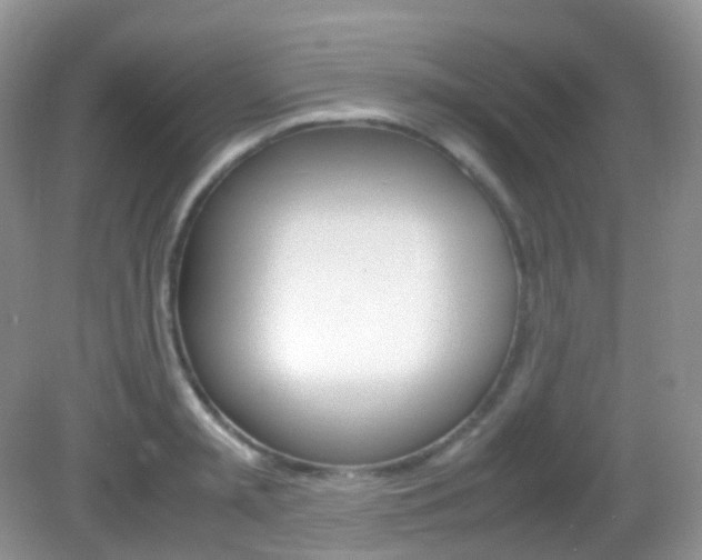 X0000082940797200702011110