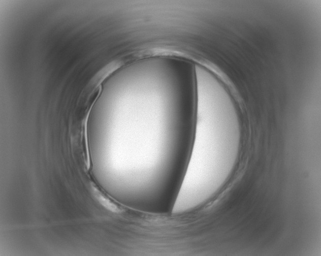 X0000082940801200702011110