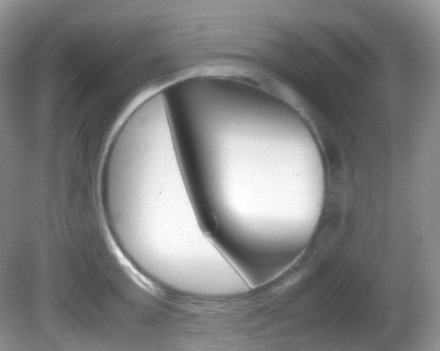 X0000082940803200702011110