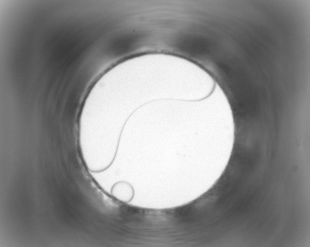 X0000082940807200702011110