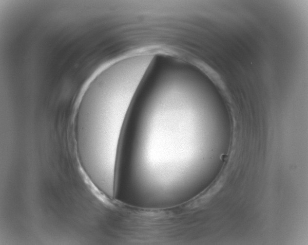 X0000082940816200702011110