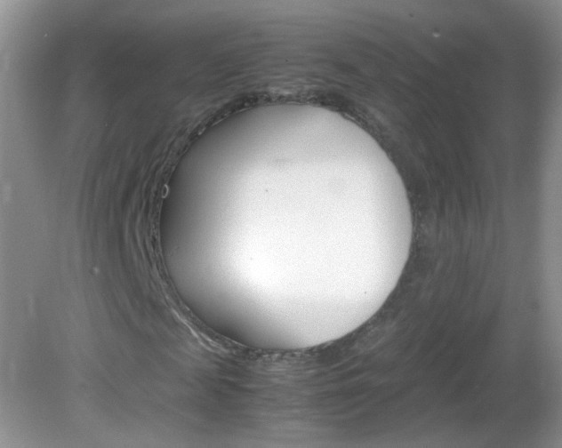 X0000082940817200702011109