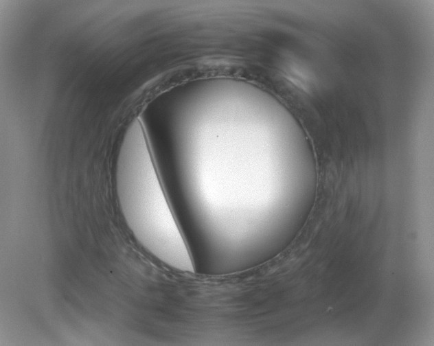 X0000082940821200702011109