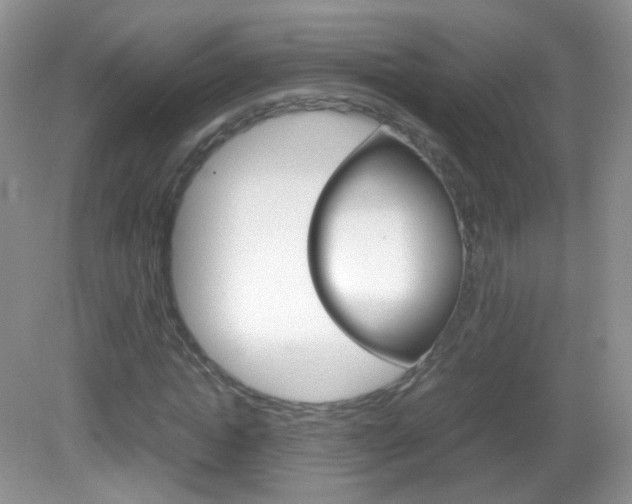 X0000082940822200702011109