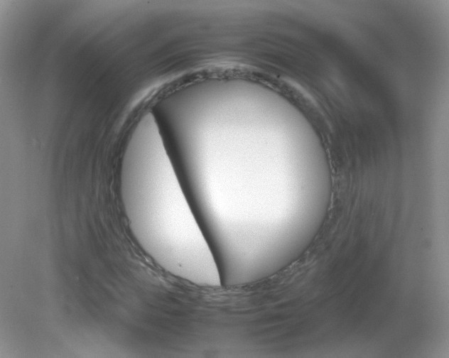X0000082940823200702011109