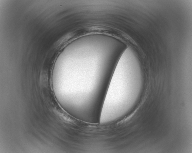 X0000082940825200702011109