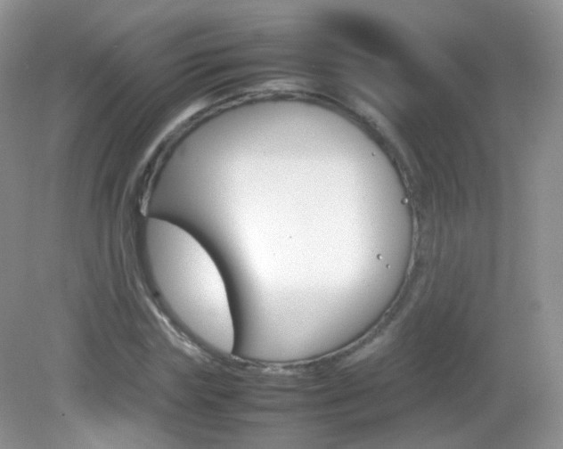 X0000082940827200702011110