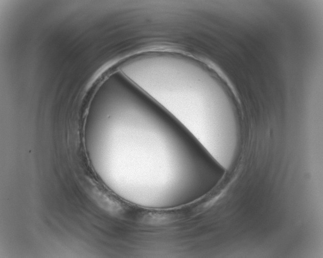 X0000082940829200702011110