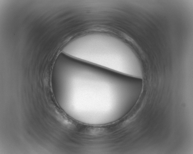 X0000082940833200702011110