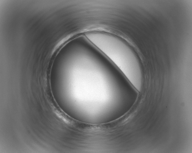 X0000082940834200702011110