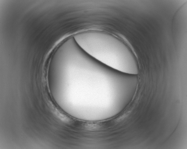 X0000082940835200702011110