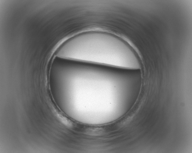 X0000082940837200702011110